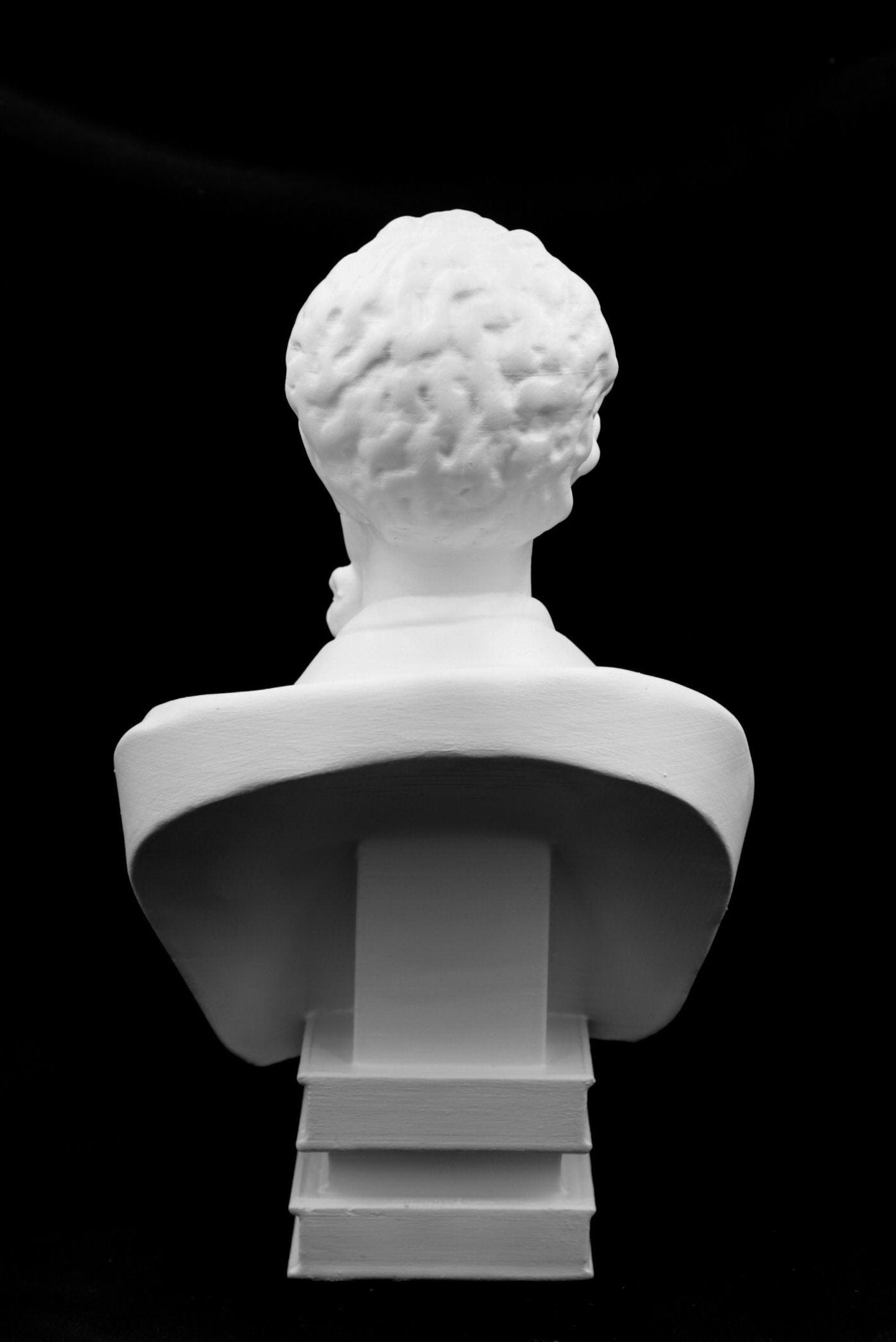 Charles Dickens Bust| English Novelist|