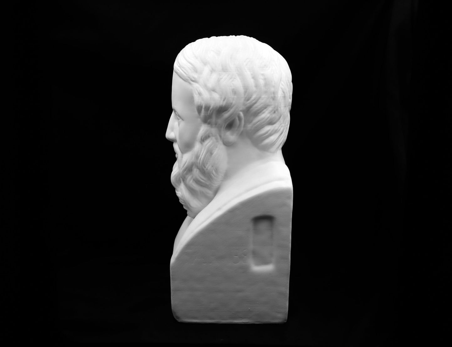 Herodotus Bust | Ancient Historian