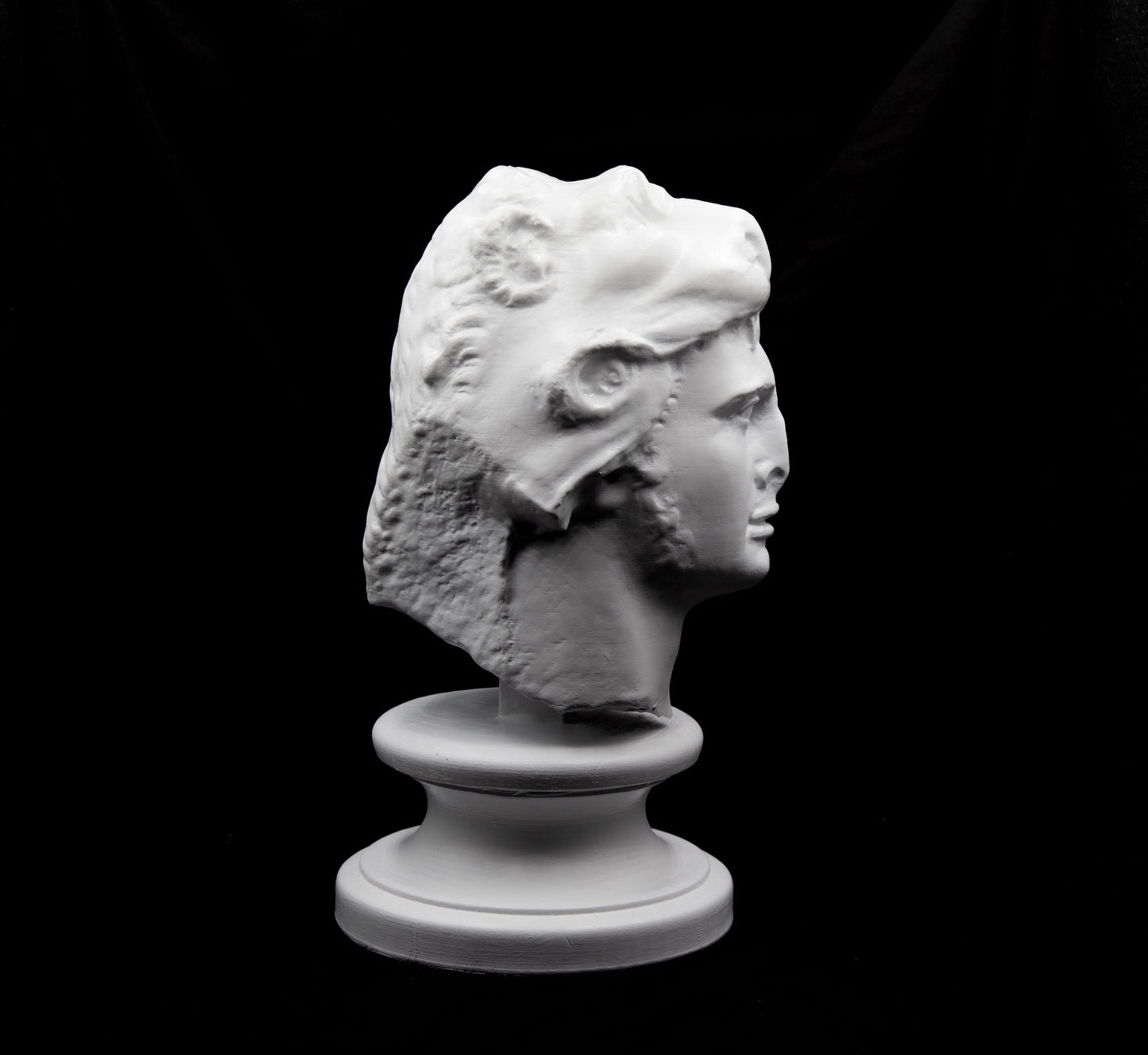 Mithridates VI Eupator Bust | Enemy of Rome