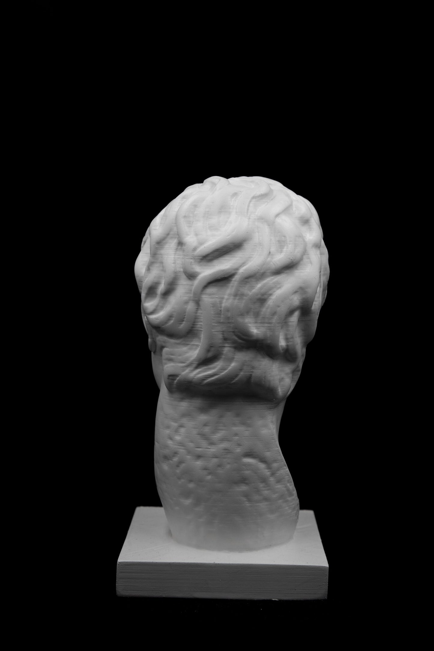 Sulla Bust |Roman General|