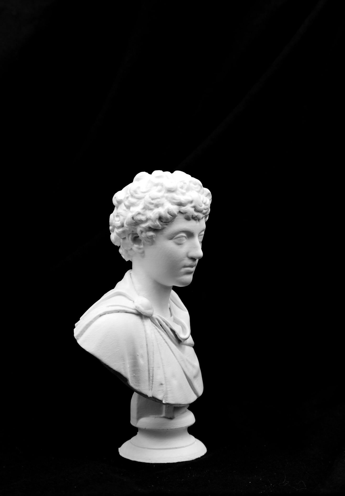 Young Marcus Aurelius Bust